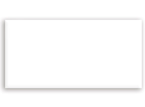 Harmony Matt White 600x300x10.5mm