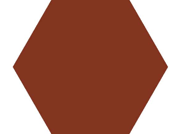 Olde English Floor Red Hexagon 127x127